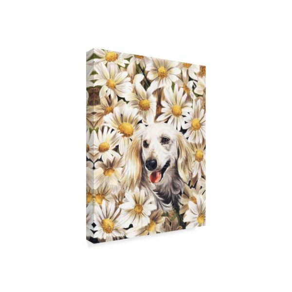 Barbara Keith 'Dachshund In Daisies' Canvas Art,24x32